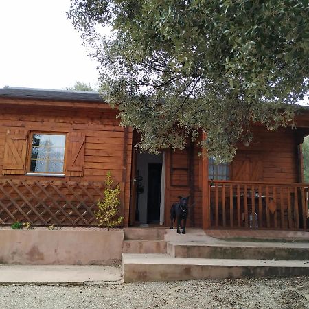 La Casa Del Estanque Villa Olocau del Rey Eksteriør billede